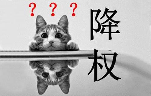 导致徐州网站降权的原因